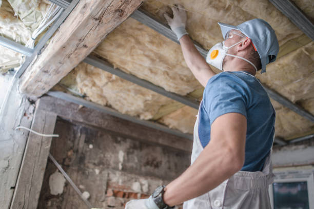 Best Spray Foam Insulation  in San Rafael, CA